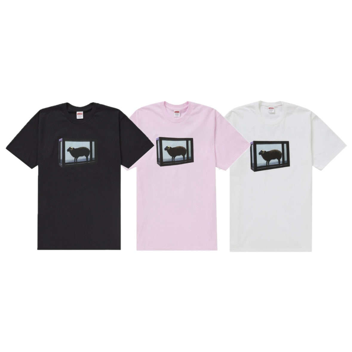 Supreme 25SS Damien Hirst Tee 短T
