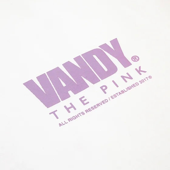 VANDYTHEPINK Pokémon Tee 寶可夢 短T