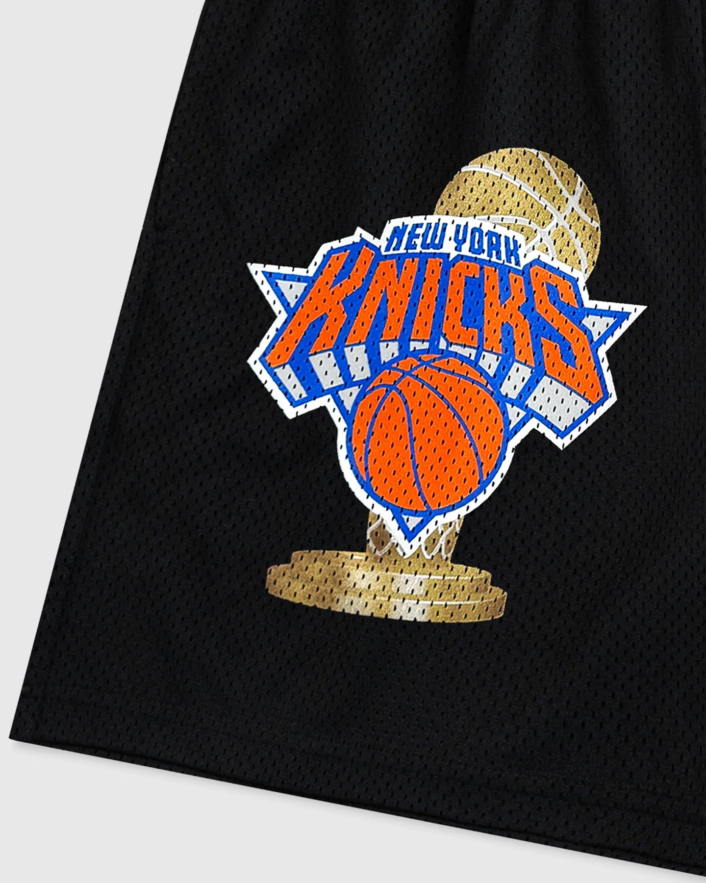 Eric Emanuel 26SS EE Knicks Champ Short 球褲