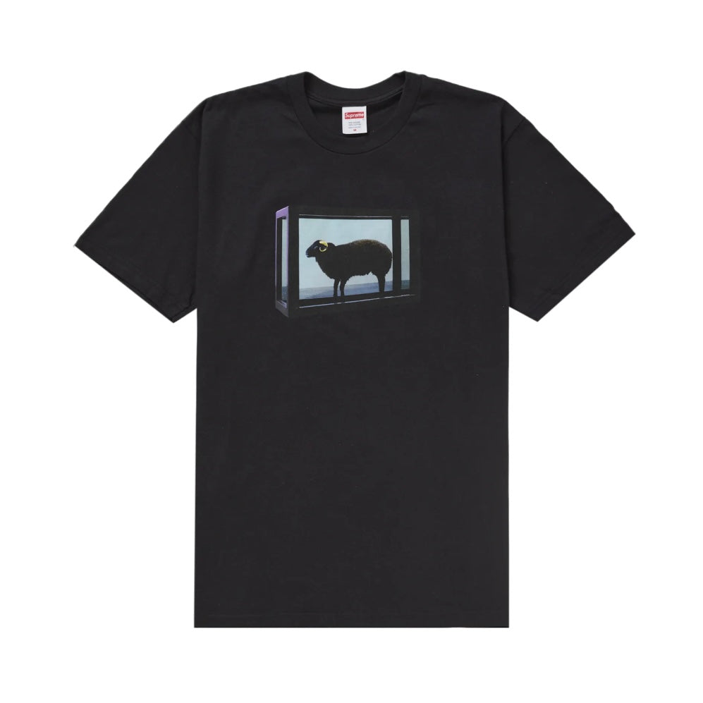 Supreme 25SS Damien Hirst Tee 短T