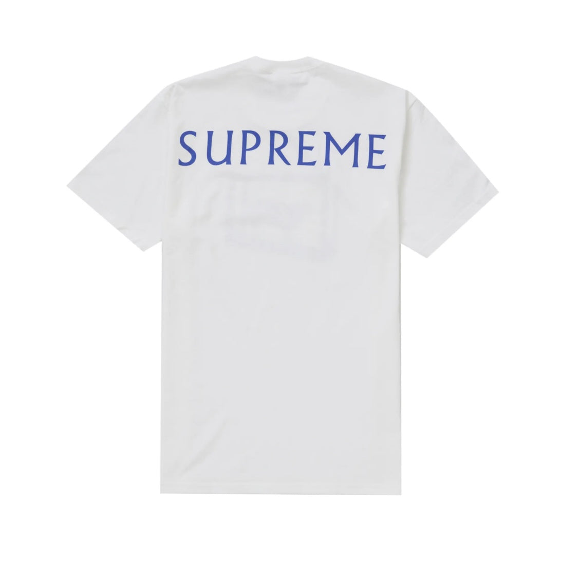 Supreme 25SS Damien Hirst Tee 短T