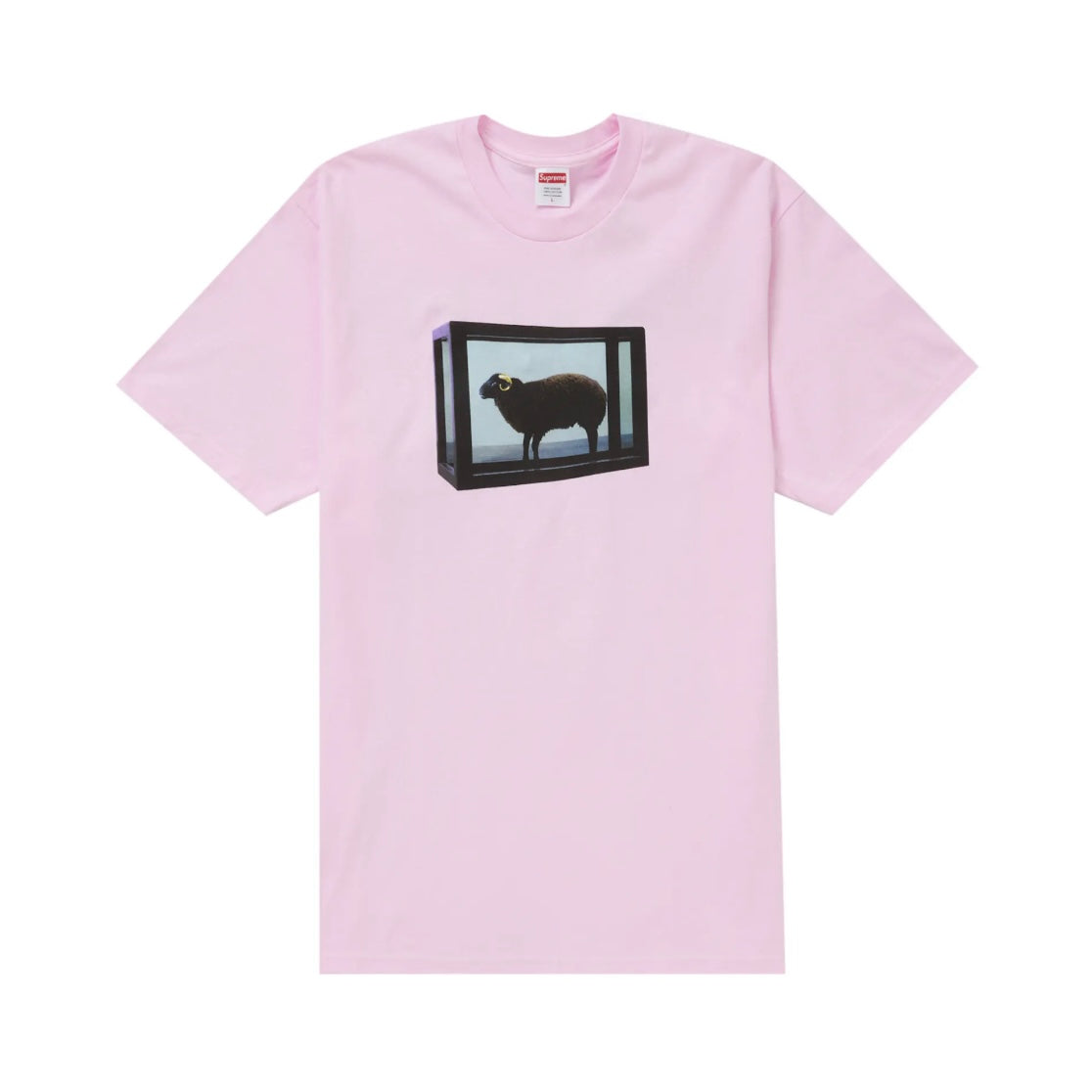 Supreme 25SS Damien Hirst Tee 短T