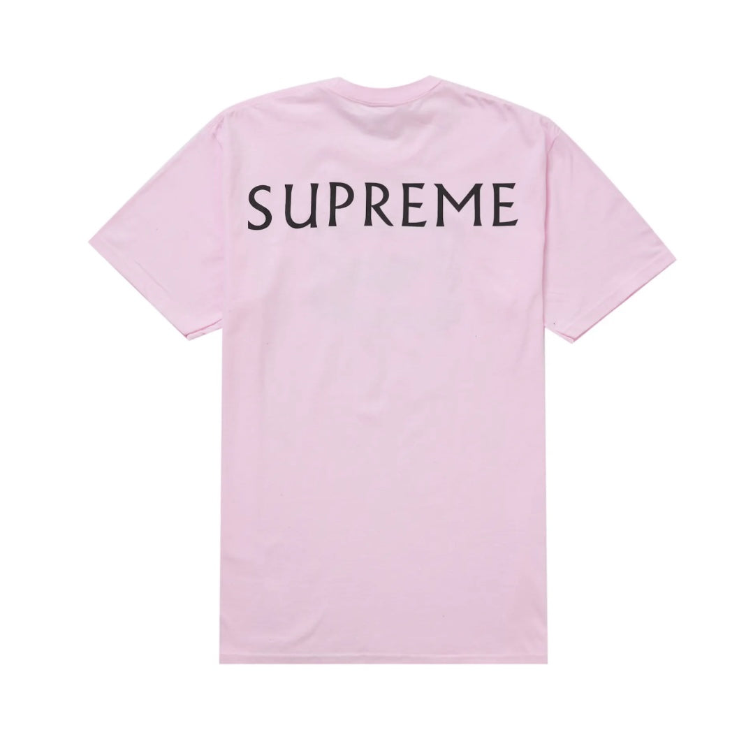 Supreme 25SS Damien Hirst Tee 短T