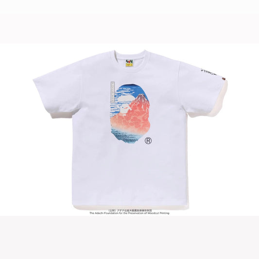 BAPE UKIYO-E Ape Head Tee #2 短T
