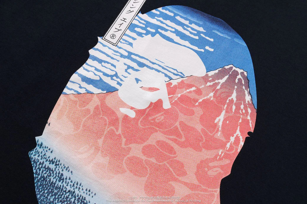 BAPE UKIYO-E Ape Head Tee #2 短T