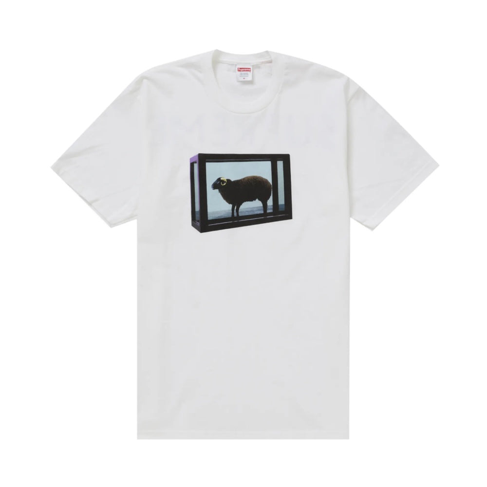 Supreme 25SS Damien Hirst Tee 短T