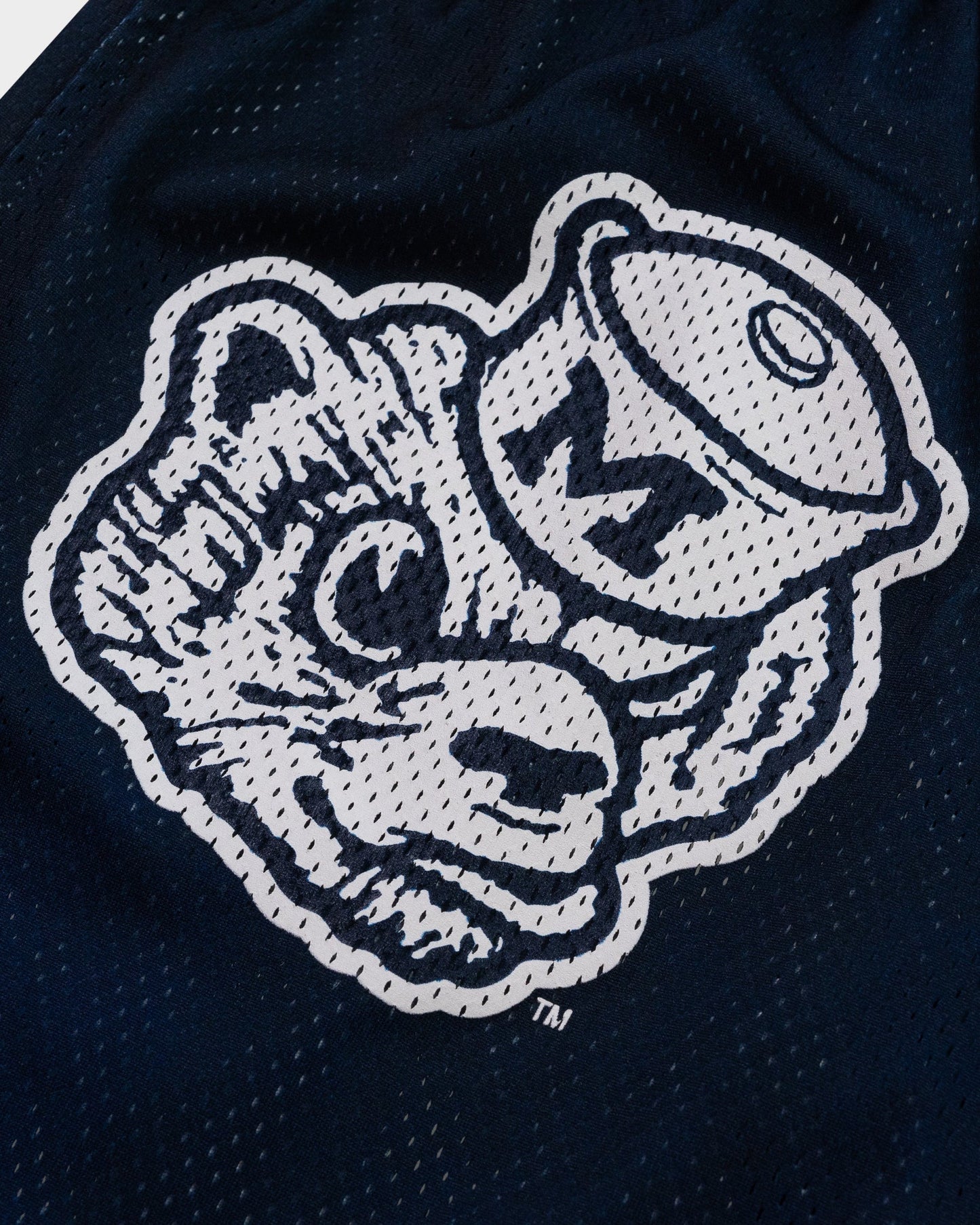 Eric Emanuel NCAA Basketball EE Basic Short 美國大學籃球 球褲