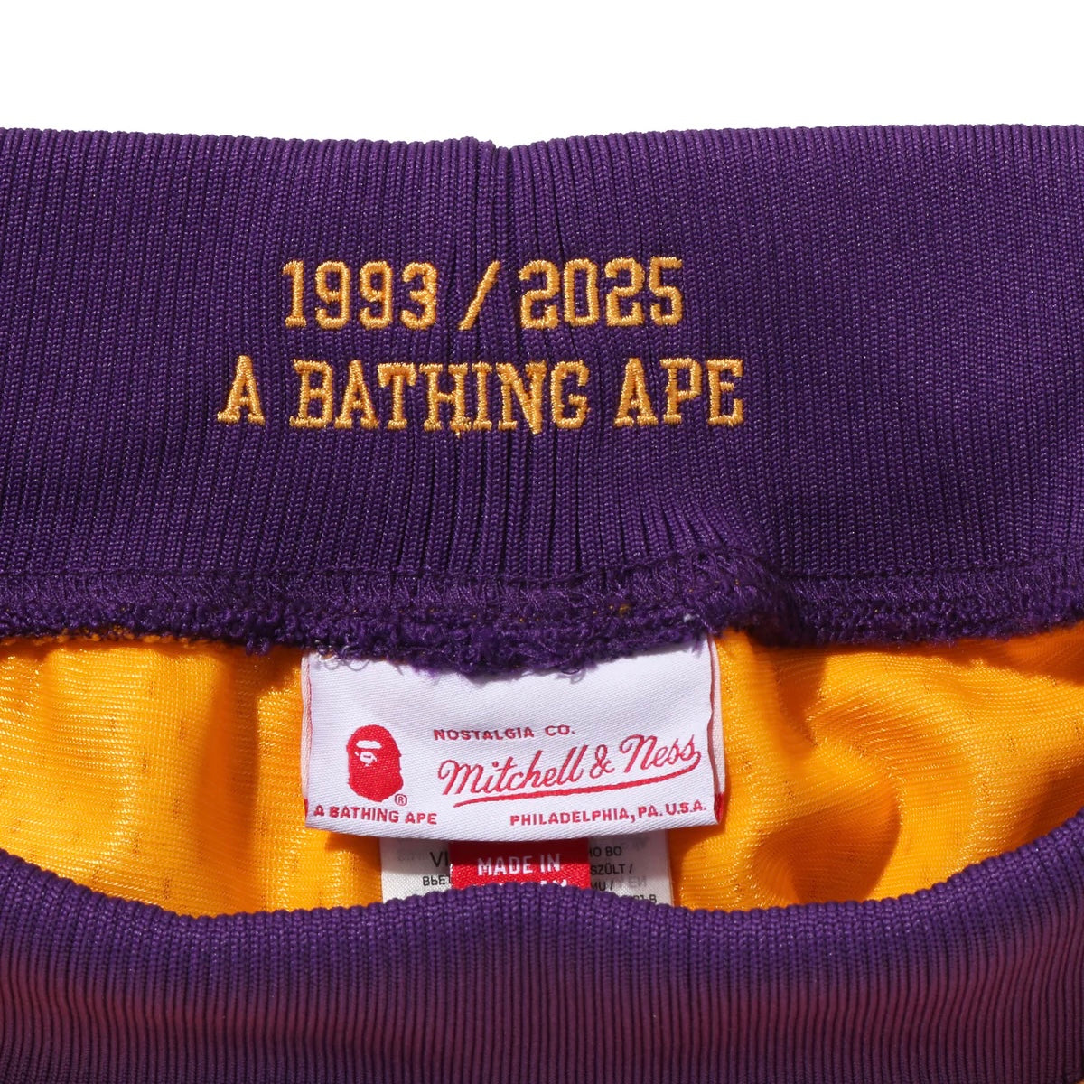 BAPE M&N NBA LA Lakers Swingman Shorts 湖人 短褲
