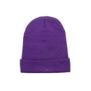 Chrome Hearts Embroidered Plus Logo Beanie 毛帽